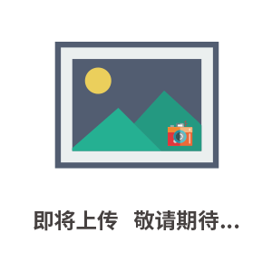 感應式硫酸濃度計H2SO4硫酸濃度計